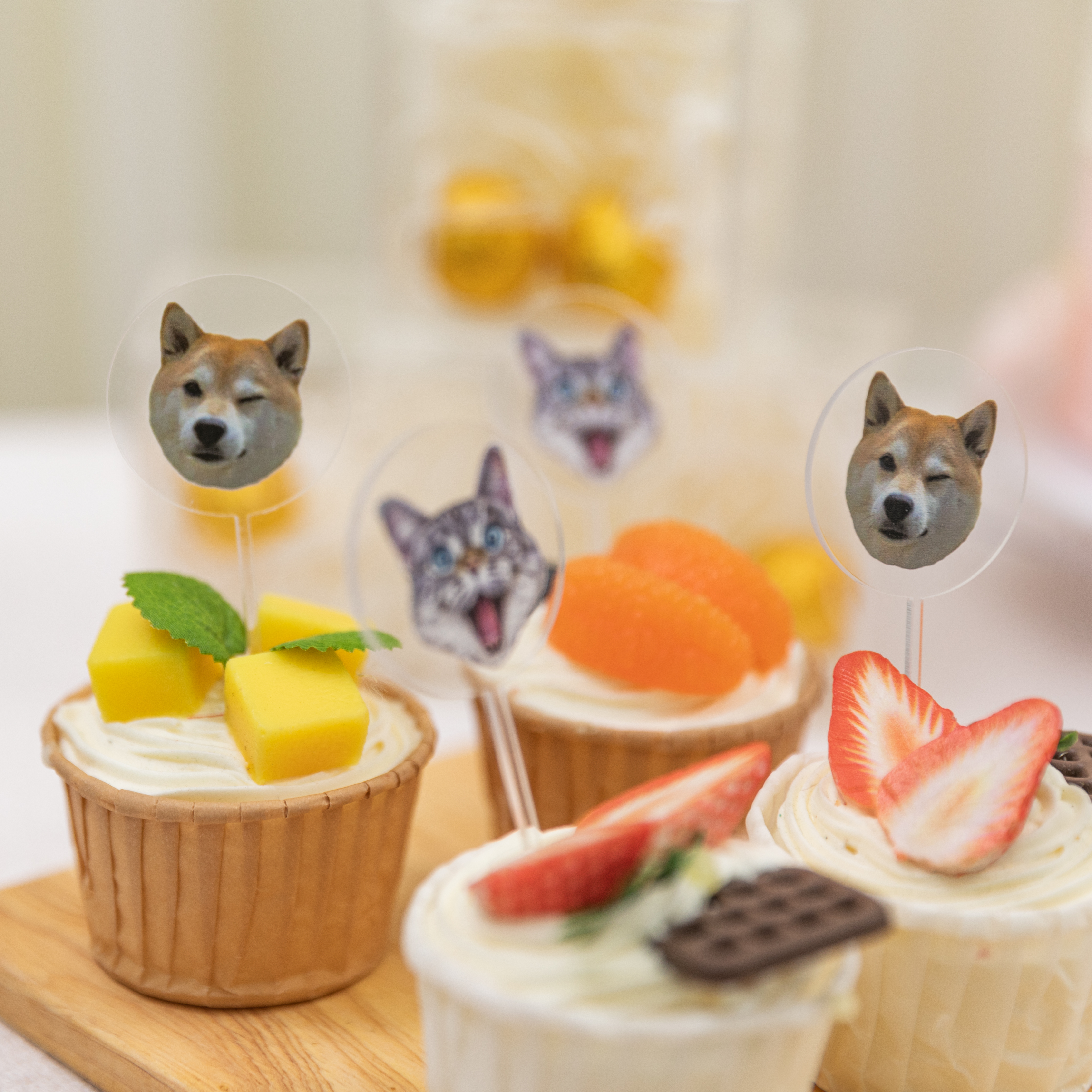 Topper per torta in acrilico con foto di animali domestici carini CNST021
