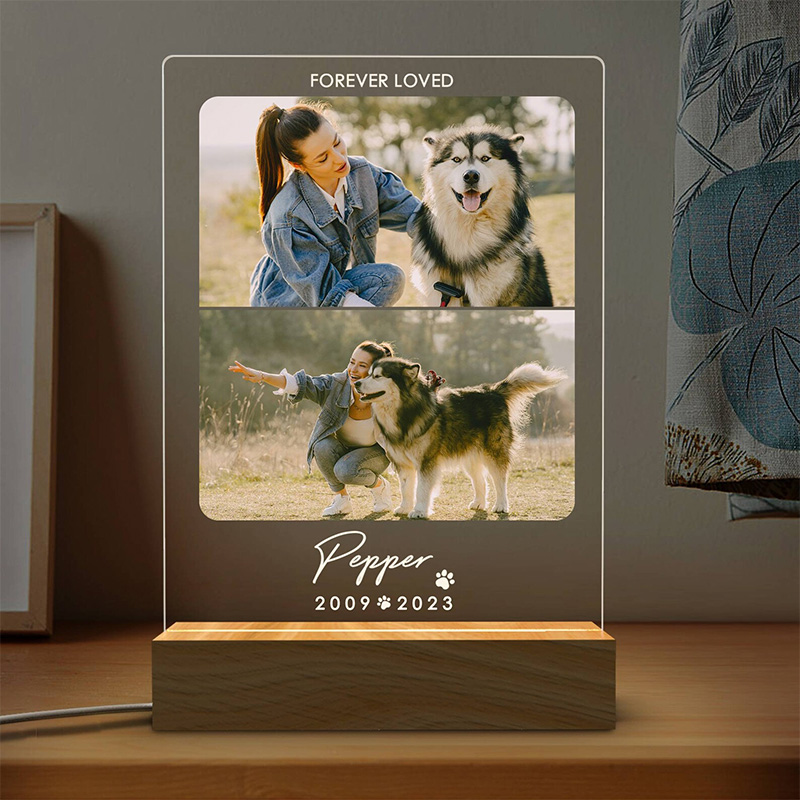 Ricordo animali domestici con luce a led con foto YKTG20
