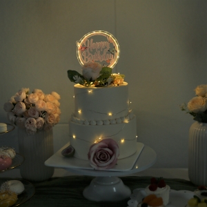 Cake topper rotondo a farfalla con LED FGCT004