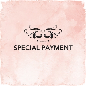 Special Payment
