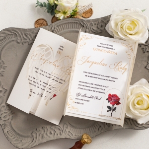 Invito per Quinceañera romantico e raffinato WPL0226