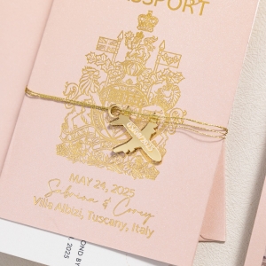 Invito per "Destination Wedding" con dettagli in lamina oro e tag a forma di aereo 3D — WSNT023
